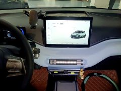 BYD Seagull Glory Edition 305km Vitality Version - ფოტო 12