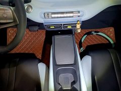 BYD Seagull Glory Edition 305km Vitality Version - ფოტო 13