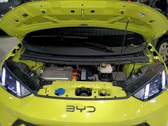 BYD Seagull Glory Edition 305km Vitality Version - ფოტო 19