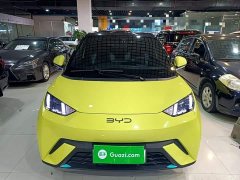 BYD Seagull Glory Edition 305km Vitality Version - ფოტო 2