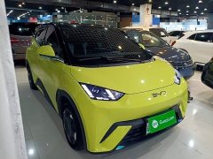 BYD Seagull Glory Edition 305km Vitality Version - ფოტო 3