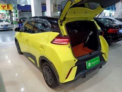 BYD Seagull Glory Edition 305km Vitality Version - ფოტო 4