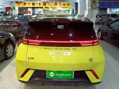 BYD Seagull Glory Edition 305km Vitality Version - ფოტო 5