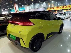 BYD Seagull Glory Edition 305km Vitality Version - ფოტო 6
