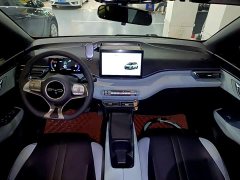 BYD Seagull Glory Edition 305km Vitality Version - ფოტო 9