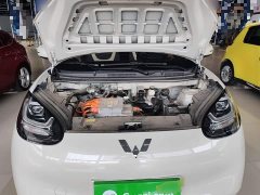 Wuling Binguo 2023 203km Light Enjoy Edition - ფოტო 19