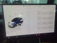 Tesla Model Y Rear-Wheel Drive - ფოტო 11