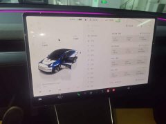 Tesla Model Y Rear-Wheel Drive - ფოტო 12