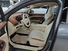 ORA Good Cat 430km Deluxe Edition - ფოტო 14