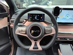 BYD Seagull Glory Edition 305km Vitality Version - ფოტო 10