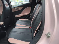 BYD Seagull Glory Edition 305km Vitality Version - ფოტო 16