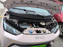 BYD Seagull Glory Edition 305km Vitality Version - ფოტო 19