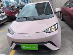 BYD Seagull Glory Edition 305km Vitality Version - ფოტო 2