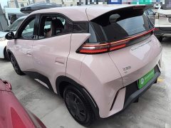 BYD Seagull Glory Edition 305km Vitality Version - ფოტო 4