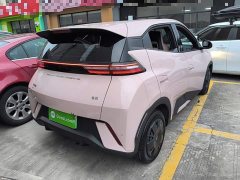 BYD Seagull Glory Edition 305km Vitality Version - ფოტო 6