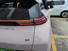 BYD Seagull Glory Edition 305km Vitality Version - ფოტო 7