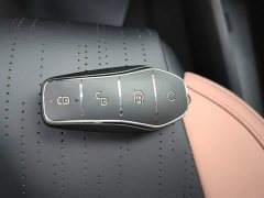 BYD Seagull Glory Edition 305km Vitality Version - ფოტო 8