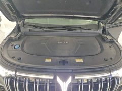 Voyah Dream PHEV Extended Range Luxury Edition - ფოტო 19