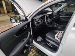 Chery Tiggo 8 Excellence 230TCI Automatic Luxury 5-Seater - ფოტო 13