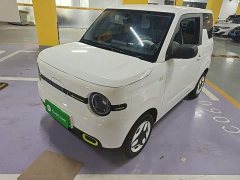 Geely Panda Mini 210km Vitality Edition - ფოტო 1