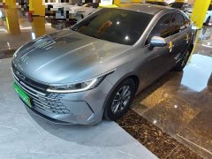 BYD Destroyer 05 2023 Champion Edition DM-i 55KM Luxury - ფოტო 1