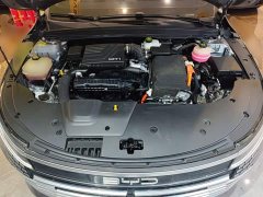 BYD Destroyer 05 2023 Champion Edition DM-i 55KM Luxury - ფოტო 19