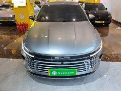 BYD Destroyer 05 2023 Champion Edition DM-i 55KM Luxury - ფოტო 2