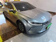 BYD Destroyer 05 2023 Champion Edition DM-i 55KM Luxury - ფოტო 3