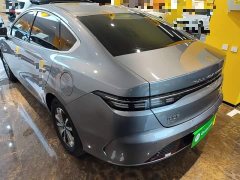 BYD Destroyer 05 2023 Champion Edition DM-i 55KM Luxury - ფოტო 4