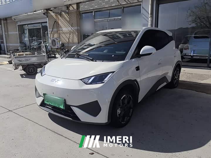 BYD Seagull Smart Driving Edition 305km Freedom Edition - ავტომობილი ჩინეთიდან