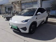 BYD Seagull Smart Driving Edition 305km Freedom Edition - ფოტო 1