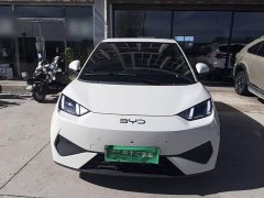 BYD Seagull Smart Driving Edition 305km Freedom Edition - ფოტო 2