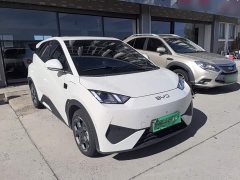 BYD Seagull Smart Driving Edition 305km Freedom Edition - ფოტო 3