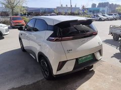 BYD Seagull Smart Driving Edition 305km Freedom Edition - ფოტო 4