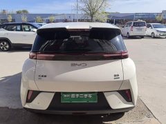 BYD Seagull Smart Driving Edition 305km Freedom Edition - ფოტო 5