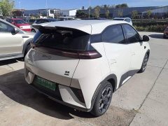 BYD Seagull Smart Driving Edition 305km Freedom Edition - ფოტო 6