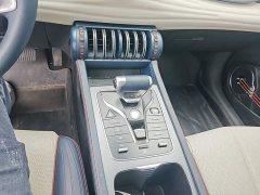 BYD Yuan Plus 430KM Premium Edition - ფოტო 13