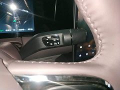 Leapmotor Leapo C11 Extended Range 300 Deluxe Edition - ფოტო 13