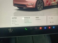 Tesla Model Y Rear-Wheel Drive - ფოტო 11