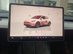 Tesla Model Y Rear-Wheel Drive - ფოტო 12
