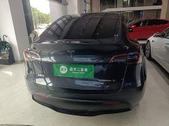 Tesla Model Y Rear-Wheel Drive - ფოტო 5