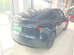 Tesla Model Y Rear-Wheel Drive - ფოტო 6