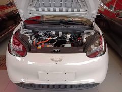 Wuling Binguo 410km Lingxi Premium Edition - ფოტო 19