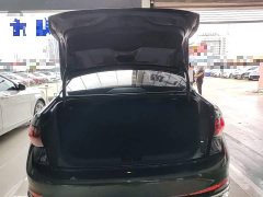 Volkswagen Sagitar 300TSI DSG Excellence Edition - ფოტო 18
