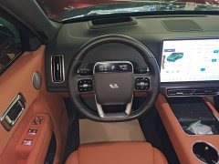 Li Auto L9 Max - ფოტო 10