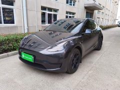 Tesla Model Y Rear-Wheel Drive - ფოტო 1