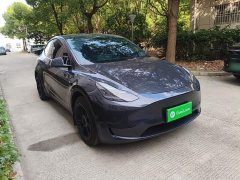 Tesla Model Y Rear-Wheel Drive - ფოტო 3