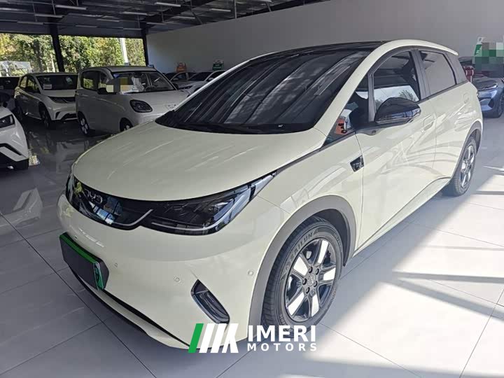 BYD Dolphin Smart Drive 410km Fashion Edition - ავტომობილი ჩინეთიდან