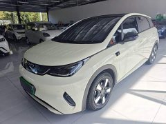 BYD Dolphin Smart Drive 410km Fashion Edition - ფოტო 1