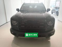 Great Wall Dachshund 2026 2.0T DCT Chinese Rural Dog Edition - ფოტო 2